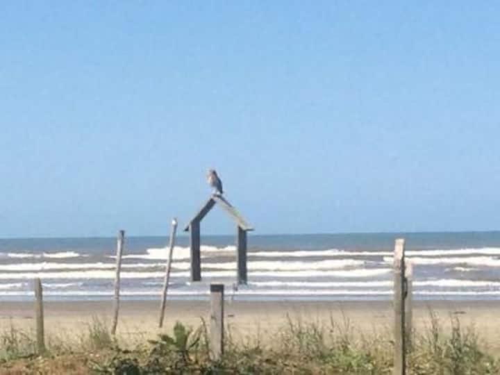 Itanhaém Pe Na Areia Gaivotas Com Wi-Fiヴィラ エクステリア 写真